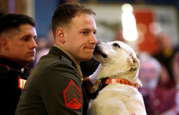 fuzileiro naval cumpre promessa e adota cachorro
