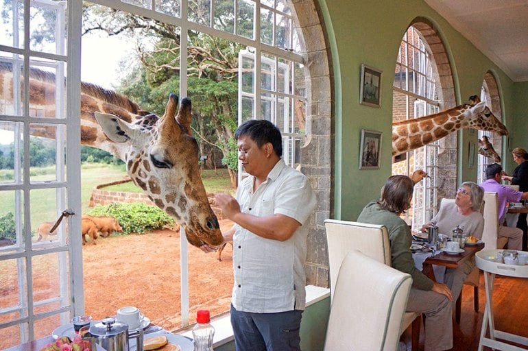 hotel giraffe manor quenia