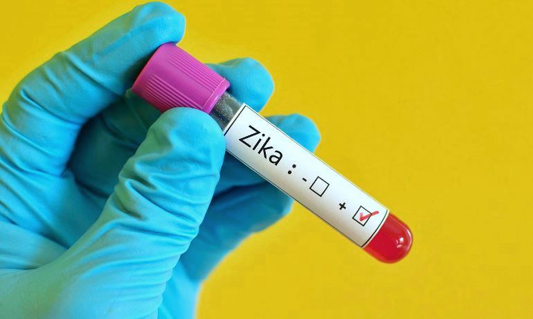 zika virus causas sintomas tratamento microcefalia