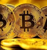 Bitcoins: Ainda vale a pena investir ou é melhor focar em outras criptomoedas?