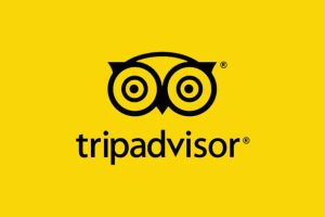 TripAdvisor: Como Avaliar um Restaurante ou Hotel?