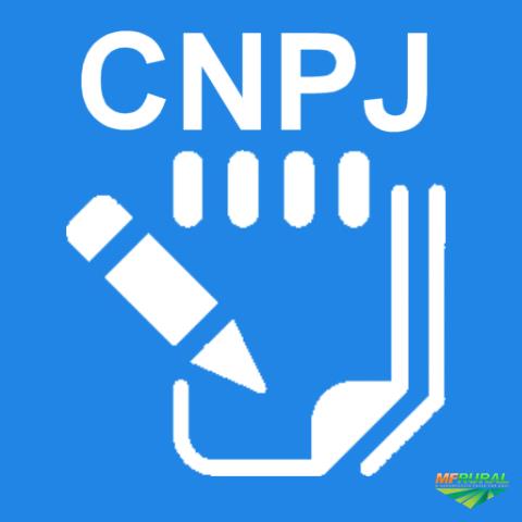 Como consultar o CNPJ de uma empresa online?