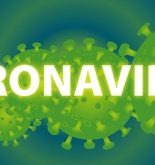 Coronavírus no Brasil Tem Cura Sintomas Como se Transmite como se proteger
