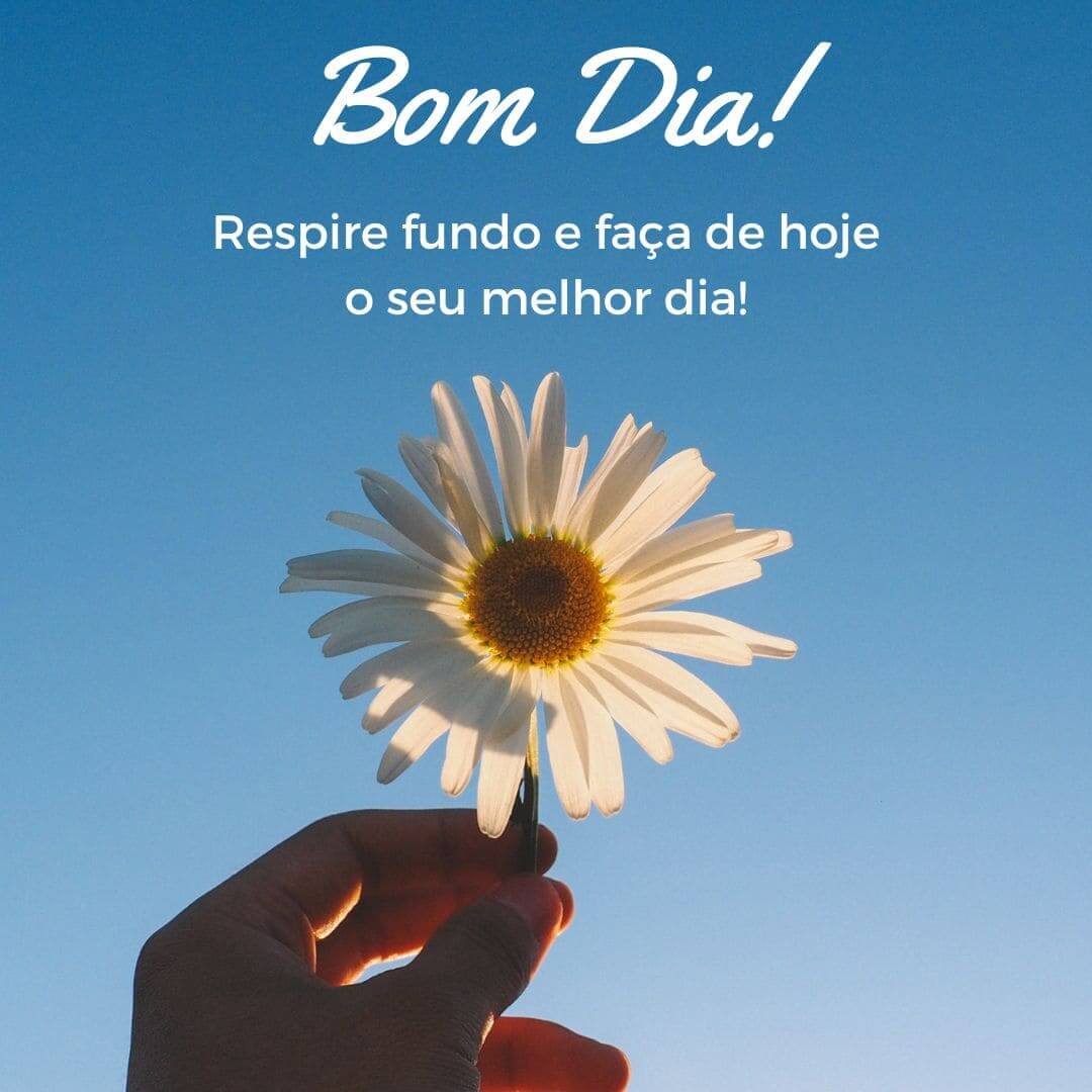 Mensagem De Bom Dia 10 Frases Curtas E Simples Viu Só Mensagem De Bom Dia 10 Frases Curtas E Simples Viu Só